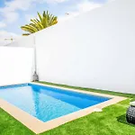فيلة Gaillardia *